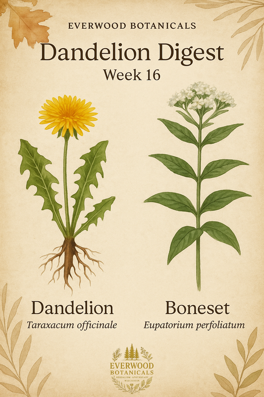 Dandelion Digest week 16