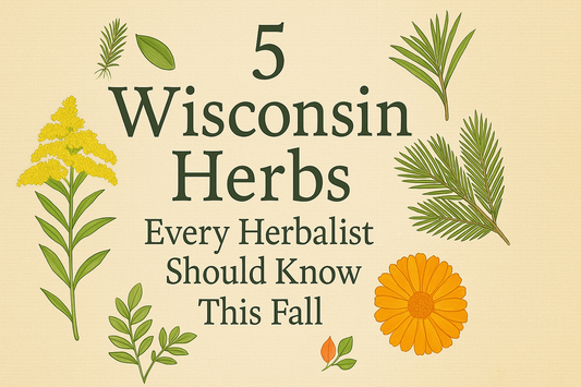 5 Wisconsin Herbs Every Herbalist Should Know This Fall