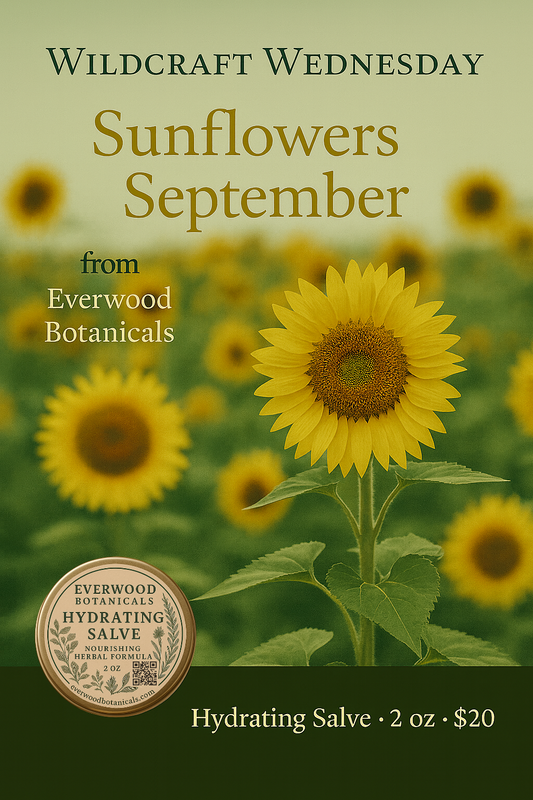 Wildcraft Wednesday: Sunflowers in September