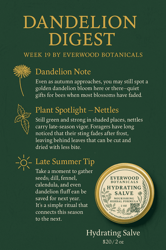Dandelion Digest — Week 19 by Everwood Botanicals