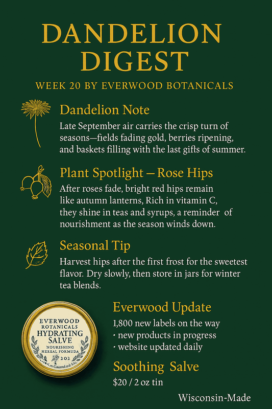 Dandelion Digest week 20 by Everwood Botanicals