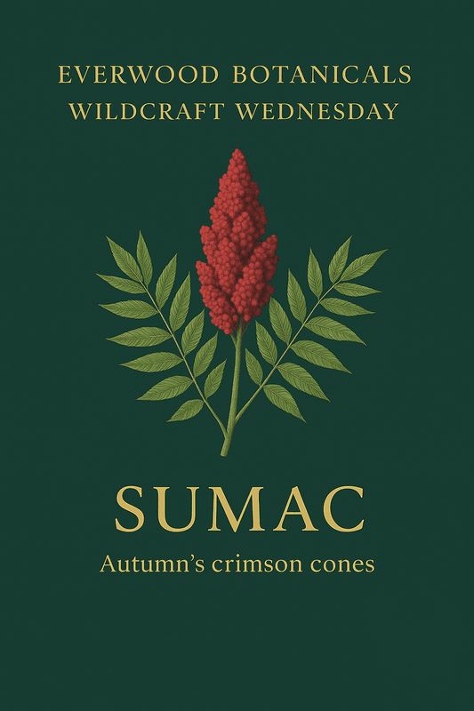 Everwood Botanicals · Wildcraft Wednesday: Sumac
