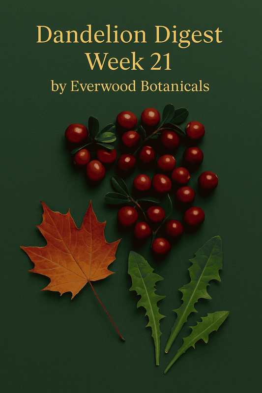 Dandelion Digest Week 21 by Everwood Botanicals