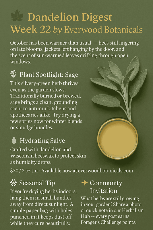 Dandelion Digest week 22 by Everwood Botanicals