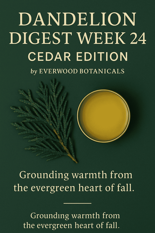 Dandelion Digest Week 24: Cedar by Everwood Botanicals
