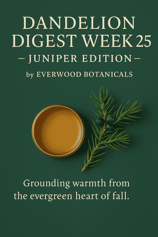 Dandelion Digest Week 25 — Juniper Edition by Everwood Botanicals