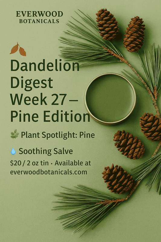 Dandelion Digest Week 27 — Pine Edition by Everwood Botanicals