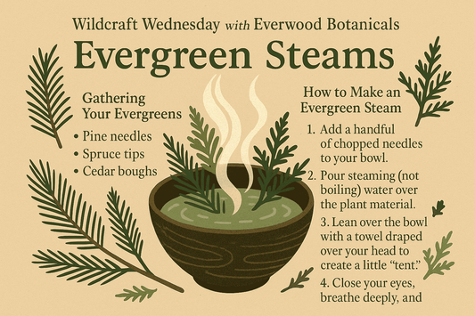 Everwood Botanicals — Wildcraft Wednesday: Evergreen Steams