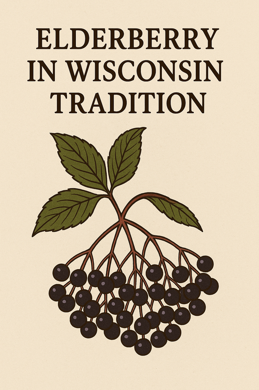 Elderberry in Wisconsin Tradition